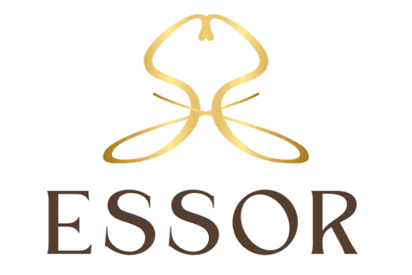 geometric cocoa bean illustration, clean background, minimal style geometric cocoa bean illustration, clean background, minimal style